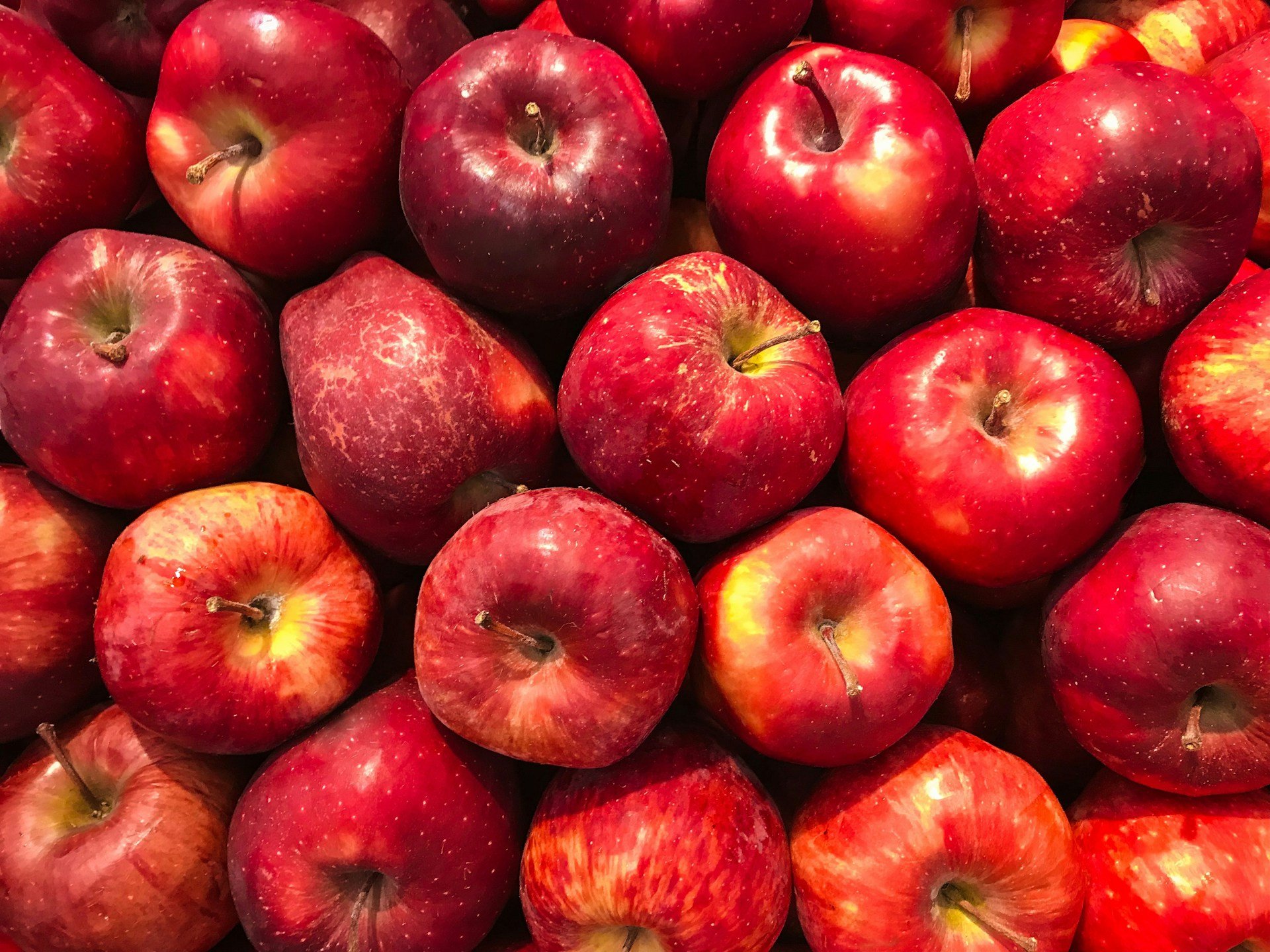 Apple data protection tool for customers in the UK